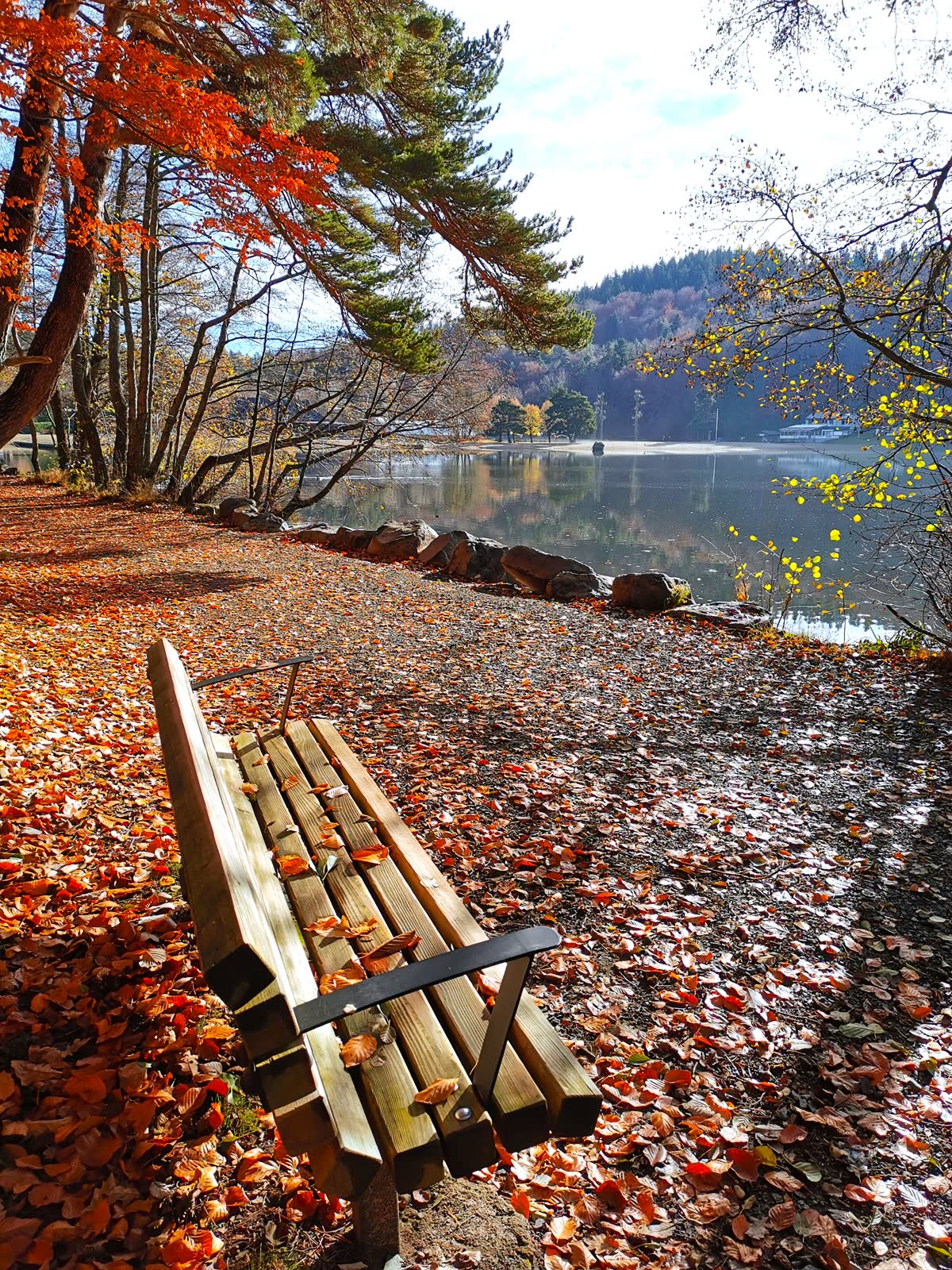 Banc face au lac sous les feuillages d'automne