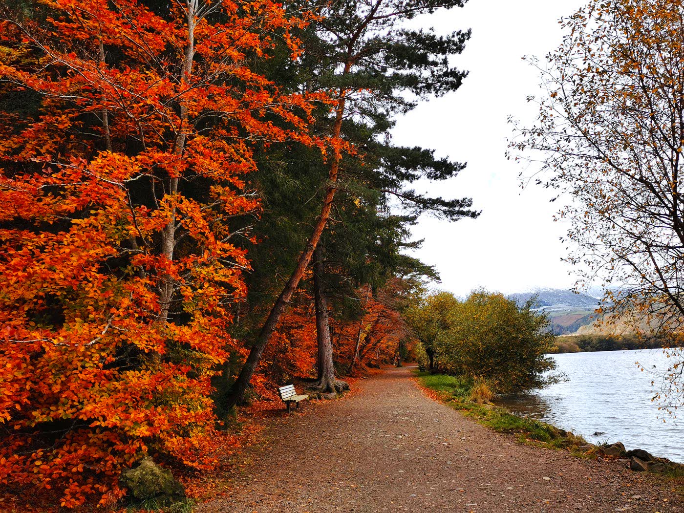 Chemin bordé de feuillages rougeoyants en automne