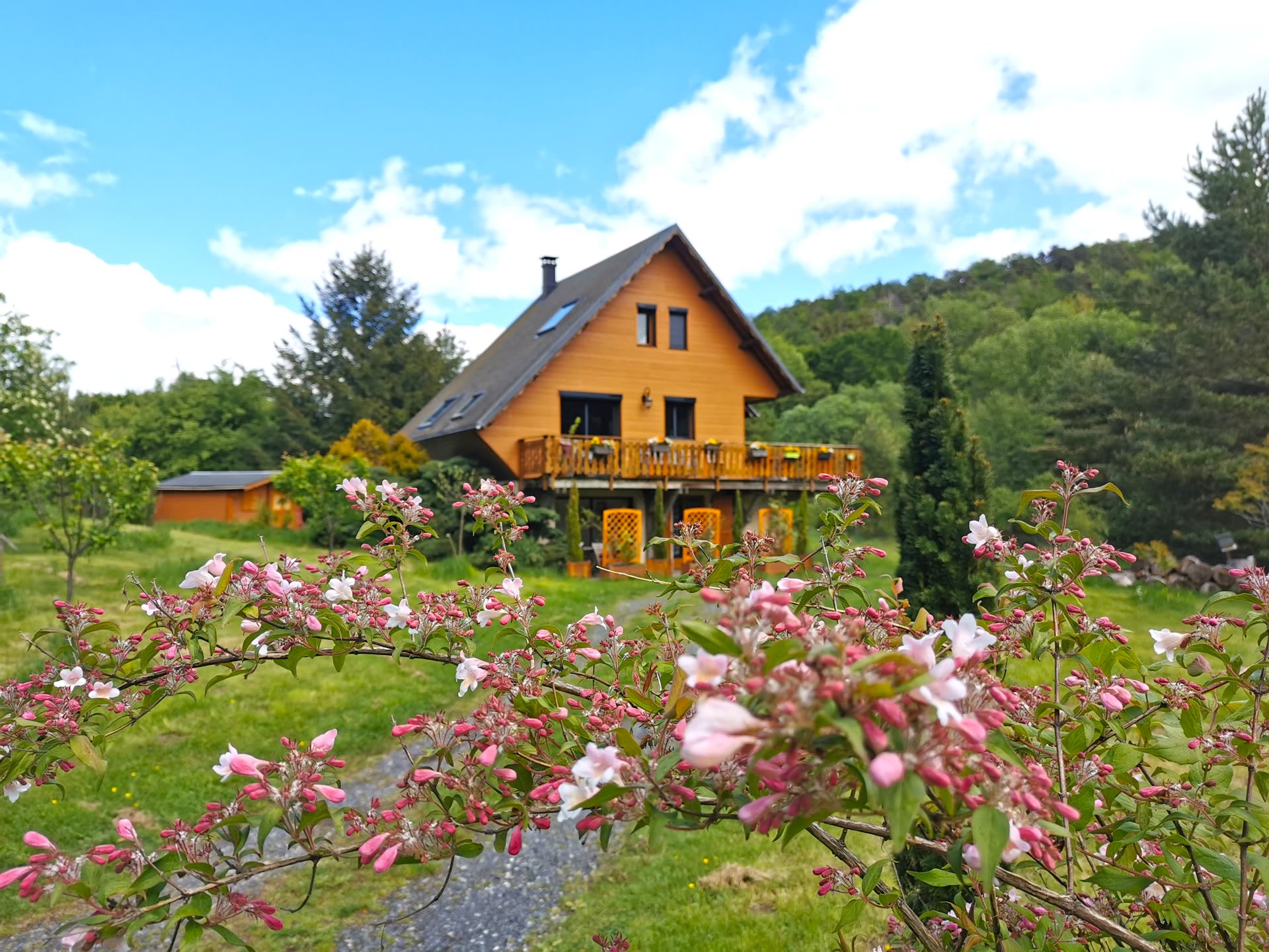 Façade du chalet en bois entouré de fleurs et de verdure en été