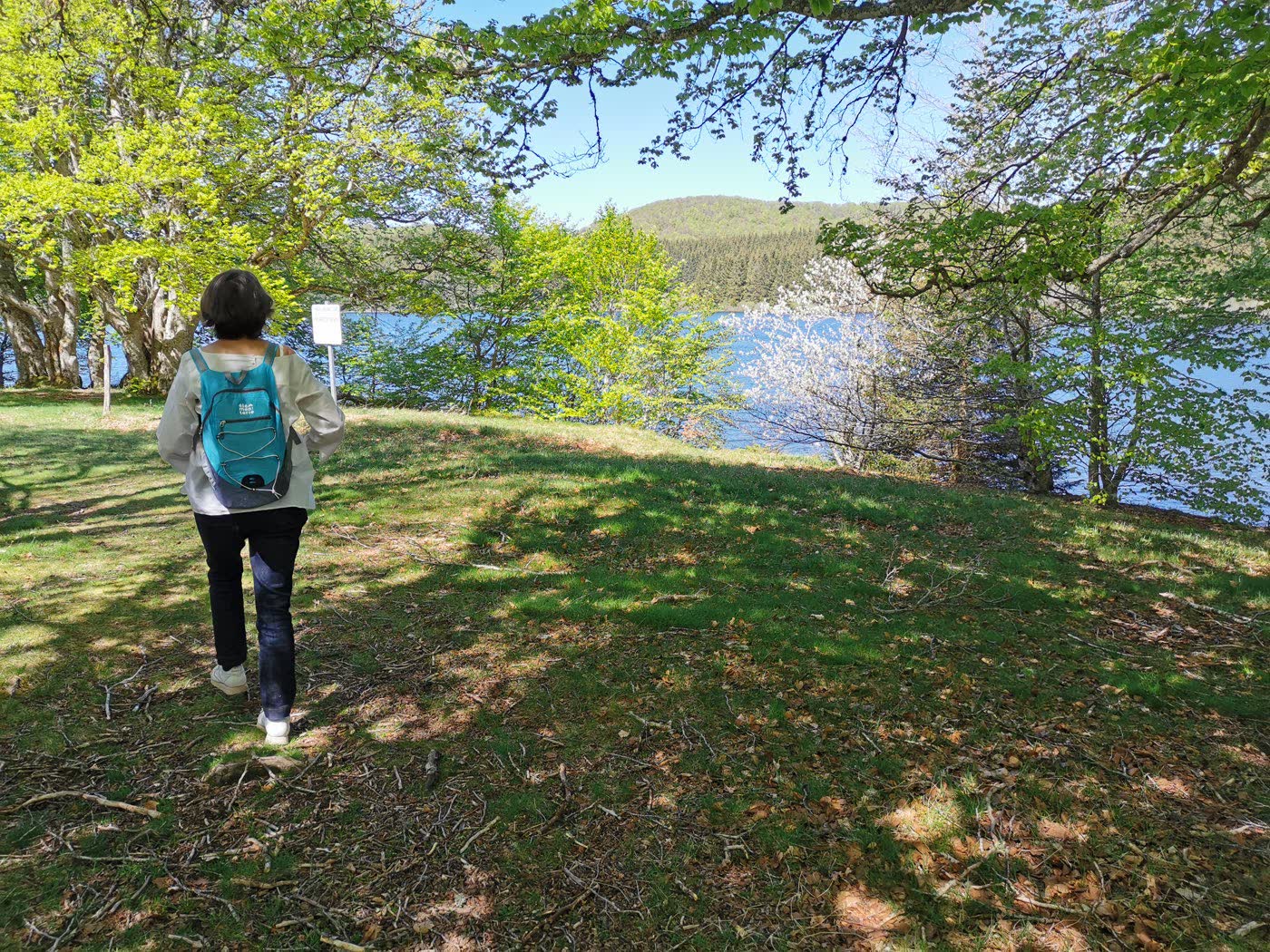 Randonnée au bord du lac au printemps